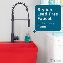 Load image into Gallery viewer, Tehila Black Finish High Arc Coil Pull-Down Faucet
