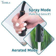 Load image into Gallery viewer, Tehila Black Finish High Arc Coil Pull-Down Faucet
