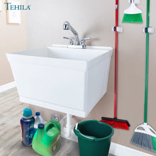 Cargar imagen en el visor de la galería, Tehila Standard Wall-Mounted White Utility Sink with Chrome Finish Pull-Out Faucet
