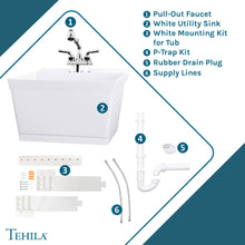 Cargar imagen en el visor de la galería, Tehila Standard Wall-Mounted White Utility Sink with Chrome Finish Pull-Out Faucet
