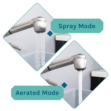 Load image into Gallery viewer, Tehila Standard Freestanding Grey Utility Sink with Stainless Steel Finish Pull-Out Faucet
