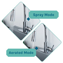 Cargar imagen en el visor de la galería, Tehila Standard Freestanding Grey Utility Sink with Chrome Finish High-Arc Pull-Down Faucet
