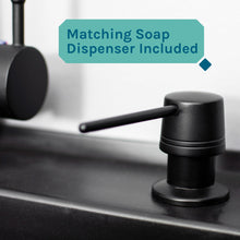 Carregar imagem no visualizador da galeria, Tehila Standard Freestanding Black Utility Sink with Black Finish High-Arc Pull-Down Faucet and Soap Dispenser
