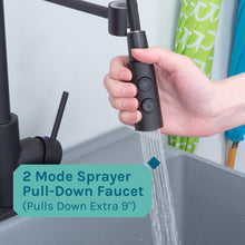 Cargar imagen en el visor de la galería, Tehila Standard Freestanding Grey Utility Sink with Black Finish High-Arc Coil Pull-Down Faucet
