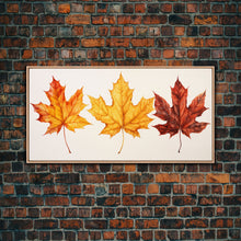 Carregar imagem no visualizador da galeria, Autumn Leaves Centerpiece, Photography Study, Framed Canvas Print, Fall Decor, Autumn Decor, Seasonal Art, Fall Centerpiece, Fall Art
