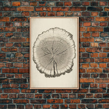 Load image into Gallery viewer, Framed Wall Art Canvas Print, Tree Cross Section, Tree Rings, Rustic Art, Farmhouse Decor, Oak Wood Tree Rings, Illustration, Gift For Him

