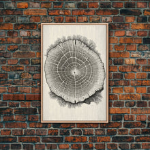 Carregar imagem no visualizador da galeria, Framed Canvas Print Wall Art,  Grunge Forest Tree Rings, Abstract Illustrations, Modern Art, Nordic Decor for Bedroom, Tree Cross Section
