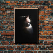 Load image into Gallery viewer, Portrait of a Beautiful Cat Sitting In The Sun, Framed Canvas Print, Cat Art, Cat Photography, Cat Wall Art
