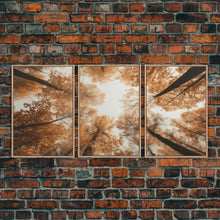 Carregar imagem no visualizador da galeria, Fall Art Print, Forest Wall Art, Trees Wall Art, Canvas Print, Wall Art, 3 Piece Wall Art, Tiny House Decor, Family Room Art, Ranch Decor
