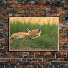 Carregar imagem no visualizador da galeria, Cute Sleeping fox Framed Canvas Wall Art, Canvas Print Decor for Home &amp; Office Decoration Canvas Ready to Hang
