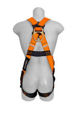 Carregar imagem no visualizador da galeria, Frontline 100VTB Combat Economy Series Full Body Harness with Tongue Buckle Legs (Uni) Universal
