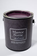 Load image into Gallery viewer, Dream Big - Manor Borne Wall Paint
