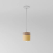 Cargar imagen en el visor de la galería, Laetus Pendant Light
