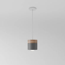 Load image into Gallery viewer, Laetus Pendant Light
