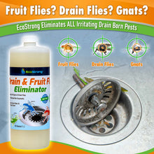 Cargar imagen en el visor de la galería, Drain and Fruit Fly Eliminator
