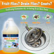 Cargar imagen en el visor de la galería, Drain and Fruit Fly Eliminator
