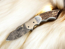 Carregar imagem no visualizador da galeria, Custom Handmade Damascus Pocket Knife – Stag Horn Handle
