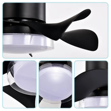 Carregar imagem no visualizador da galeria, 21&quot; Matte Black Ceiling Fans with Lights Quiet DC Motor &amp; Remote
