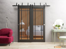 Load image into Gallery viewer, Lucia 2266 Matte Black Double Barn Door with Clear Glass and Black Bypass Rails
