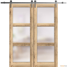 Load image into Gallery viewer, Lucia 2552 Oak Double Barn Door with Frosted Glass and Silver Rail
