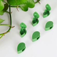 Load image into Gallery viewer, Vine Plant Wall Clips

