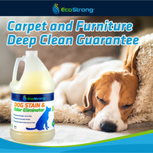 Carregar imagem no visualizador da galeria, Dog Stain and Odor Eliminator
