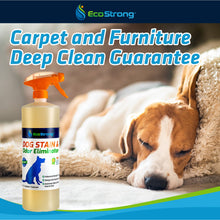 Carregar imagem no visualizador da galeria, Dog Stain and Odor Eliminator
