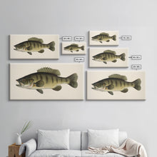 Load image into Gallery viewer, Bass Fish Wall Decor, Animal Wall Art, Nature Wall Art, Minimalist Art, Panoramic Wall Decor, Canvas Print, Wall Art, Framed Canvas Art
