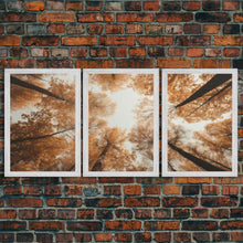 Carregar imagem no visualizador da galeria, Fall Art Print, Forest Wall Art, Trees Wall Art, Canvas Print, Wall Art, 3 Piece Wall Art, Tiny House Decor, Family Room Art, Ranch Decor

