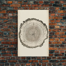 Carregar imagem no visualizador da galeria, Framed Canvas Print Wall Art Pastel Grunge Wood Tree Rings Abstract Illustrations Minimalist Modern Art Boho Decor Framed Canvas Print
