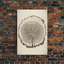 Load image into Gallery viewer, Framed Wall Art Canvas Print, Tree Cross Section, Tree Rings, Rustic Art, Farmhouse Decor, Oak Wood Tree Rings, Illustration, Gift For Him
