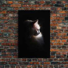 Load image into Gallery viewer, Portrait of a Beautiful Cat Sitting In The Sun, Framed Canvas Print, Cat Art, Cat Photography, Cat Wall Art
