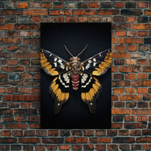 Load image into Gallery viewer, Framed Death Head Moth Canvas Print, Acherontia, Taxidermy Art, Dried Butterfly Print, Bug Wall Art Hanging Decor, Goth Art, Halloween Art

