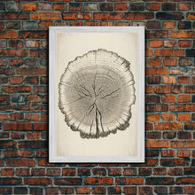 Load image into Gallery viewer, Framed Wall Art Canvas Print, Tree Cross Section, Tree Rings, Rustic Art, Farmhouse Decor, Oak Wood Tree Rings, Illustration, Gift For Him
