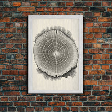 Carregar imagem no visualizador da galeria, Framed Canvas Print Wall Art,  Grunge Forest Tree Rings, Abstract Illustrations, Modern Art, Nordic Decor for Bedroom, Tree Cross Section
