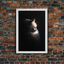Load image into Gallery viewer, Portrait of a Beautiful Cat Sitting In The Sun, Framed Canvas Print, Cat Art, Cat Photography, Cat Wall Art
