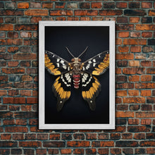 Load image into Gallery viewer, Framed Death Head Moth Canvas Print, Acherontia, Taxidermy Art, Dried Butterfly Print, Bug Wall Art Hanging Decor, Goth Art, Halloween Art
