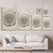 Load image into Gallery viewer, Framed Wall Art Canvas Print, Tree Cross Section, Tree Rings, Rustic Art, Farmhouse Decor, Oak Wood Tree Rings, Illustration, Gift For Him
