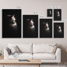 Load image into Gallery viewer, Portrait of a Beautiful Cat Sitting In The Sun, Framed Canvas Print, Cat Art, Cat Photography, Cat Wall Art
