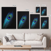 Carregar imagem no visualizador da galeria, A Lone Peacock Feather, Framed Canvas Print, Feather Photography, Beautiful &amp; Colorful Peacock Art
