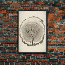 Load image into Gallery viewer, Framed Wall Art Canvas Print, Tree Cross Section, Tree Rings, Rustic Art, Farmhouse Decor, Oak Wood Tree Rings, Illustration, Gift For Him

