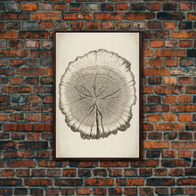 Load image into Gallery viewer, Framed Wall Art Canvas Print, Tree Cross Section, Tree Rings, Rustic Art, Farmhouse Decor, Oak Wood Tree Rings, Illustration, Gift For Him
