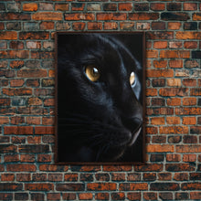 Load image into Gallery viewer, Beautiful Black Cat Portrait, Cat Photography, Framed Canvas Print, Framed Art, Halloween Witch Cat Art
