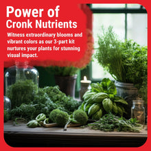 Load image into Gallery viewer, 3-Part Base Kit | Micro, Grow, Bloom
