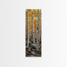 Cargar imagen en el visor de la galería, Birch Tree Forest, Framed Canvas Print, Skinny / Tall Wall Art, Living Room Decor, Landscape Painting, Nature Decor
