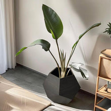 Load image into Gallery viewer, 25.98&#39;&#39; Modern Pet Furniture Cat Carrier, Sofa Side Table, Planter MDF Multifunctional Furniture, Burmese Sumac
