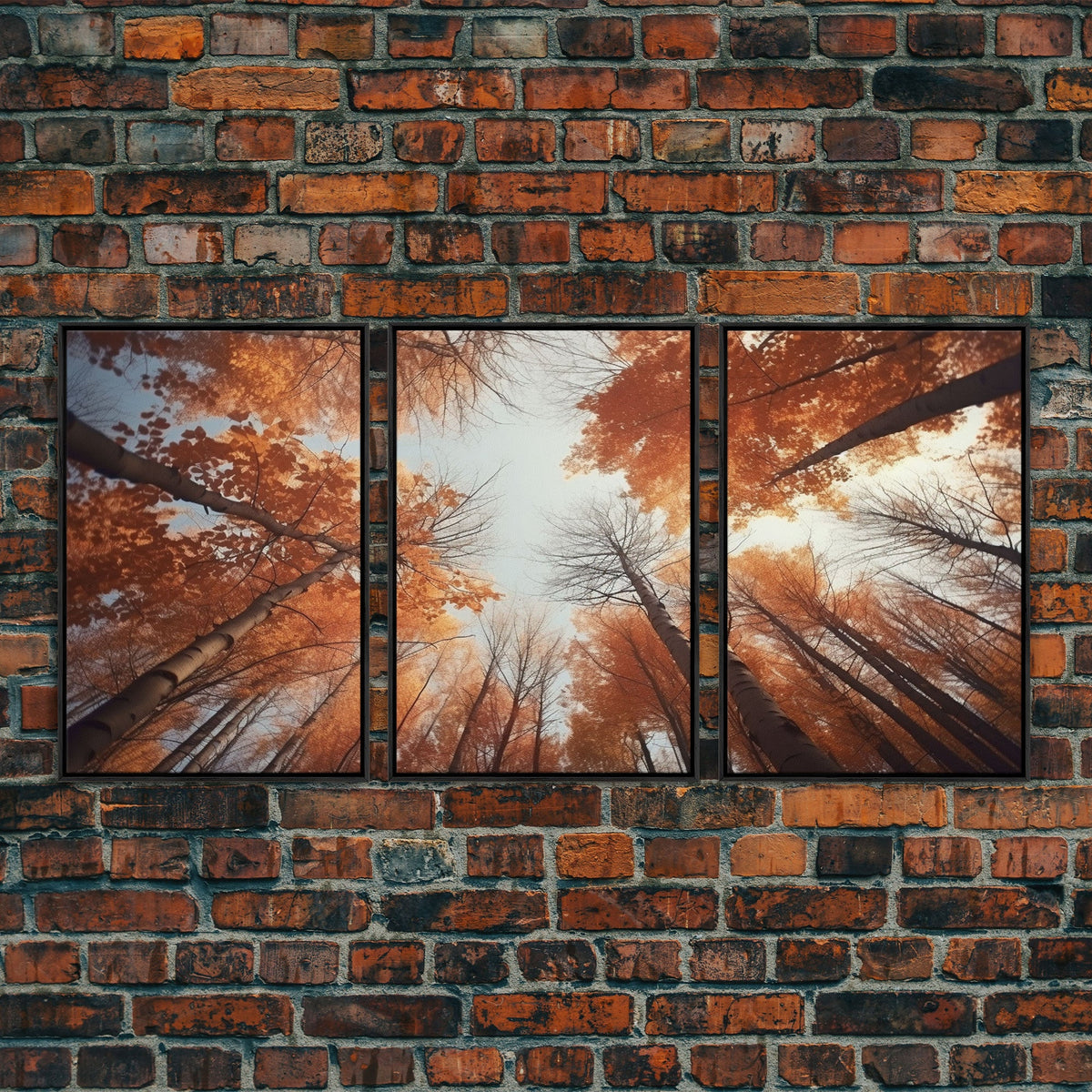 Trees Wall Art Fall Art Print Nature Print Canvas Print Wall Art