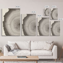 Load image into Gallery viewer, 3 Piece Triptych Framed Canvas Wall Art Set, Wood Tree Rings, Abstract Illustration Prints, Modern Art, Neutral Decor, Minimalist Art
