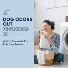 Load image into Gallery viewer, Dog Stain and Odor Eliminator
