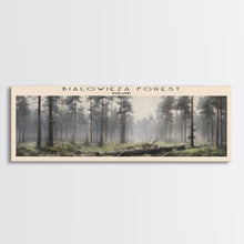 Carregar imagem no visualizador da galeria, Bialowieza Forest Travel Poster Print, Framed Canvas Wall Art, Metal Wall Art, COUNTRY art, Gift For Him, Travel Wall Art, Travel Lover Gift

